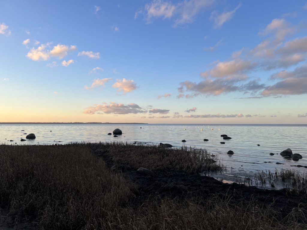 Ruhiges Wasser an der Ostsee bei Beckerwitz